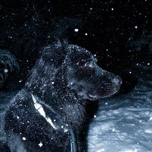 Meet your Posher, Kaitlin